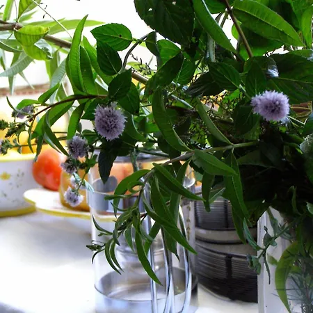 度假居 Near Santander *